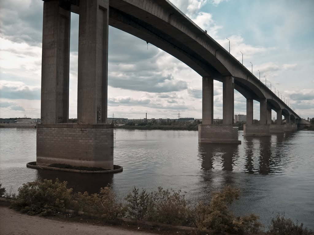В Нижнем Новгороде определят подрядчика для ремонта Мызинского моста - фото 1